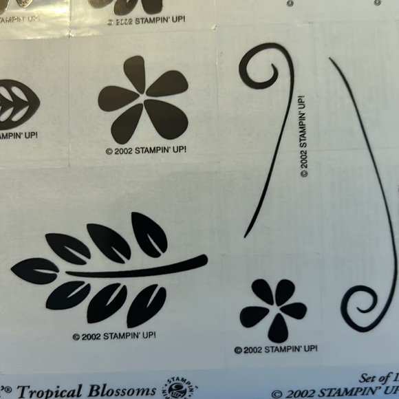 Tropical Blossoms stamp set - Picture 5 of 9